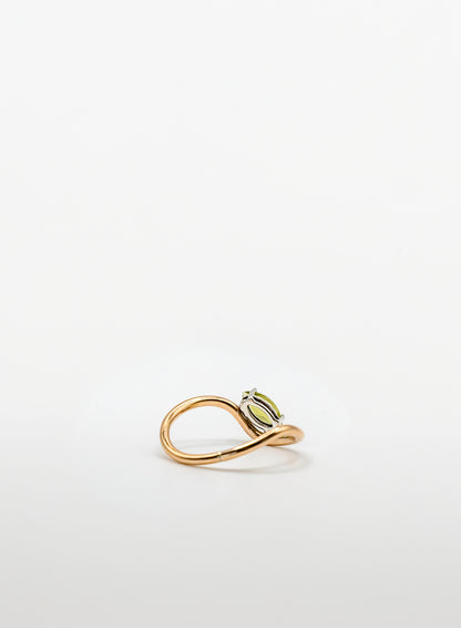 Leo ring