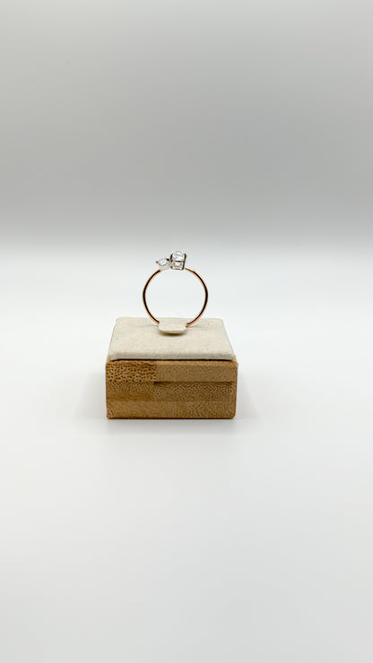 Gemini ring